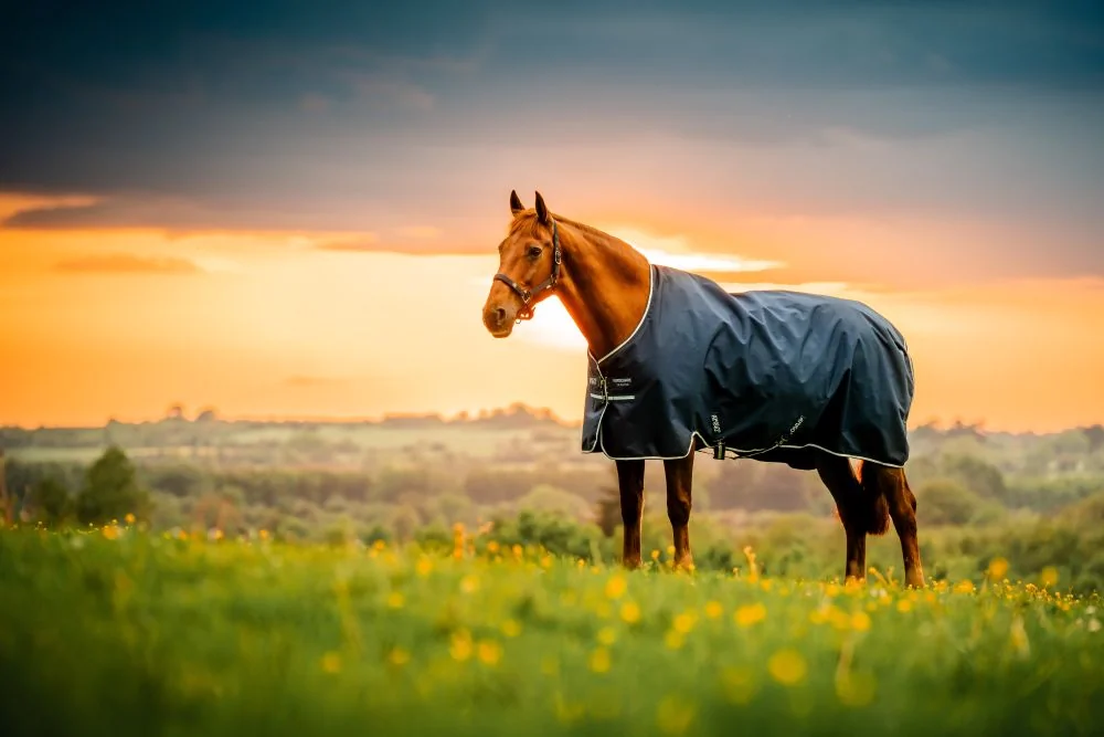 Amigo Ripstop 900D Pony Turnout 0g