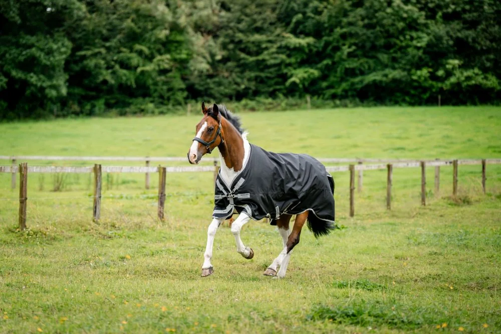 Amigo 1200D XL Turnout 250g