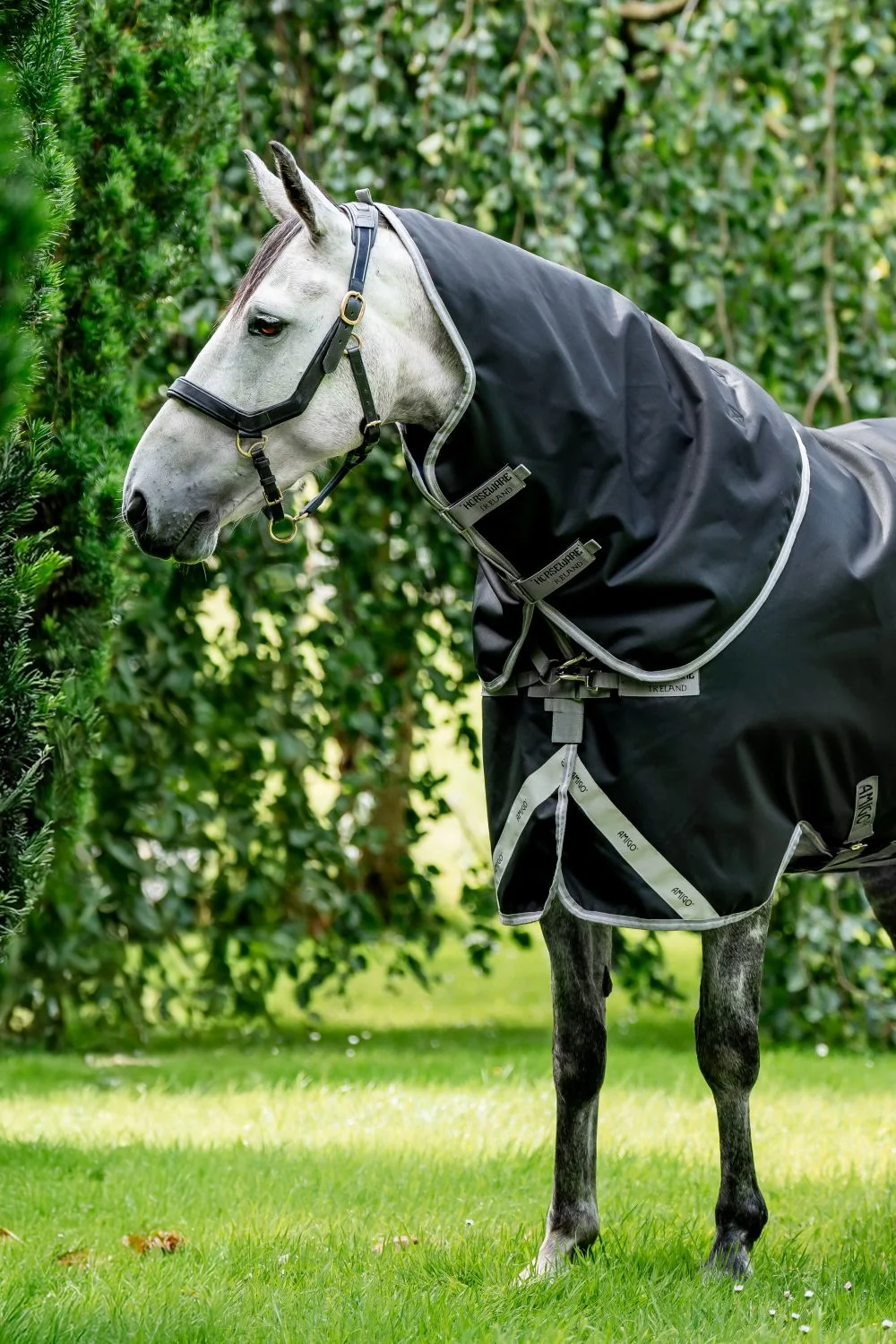 Amigo 1200D XL Turnout Hood 150g