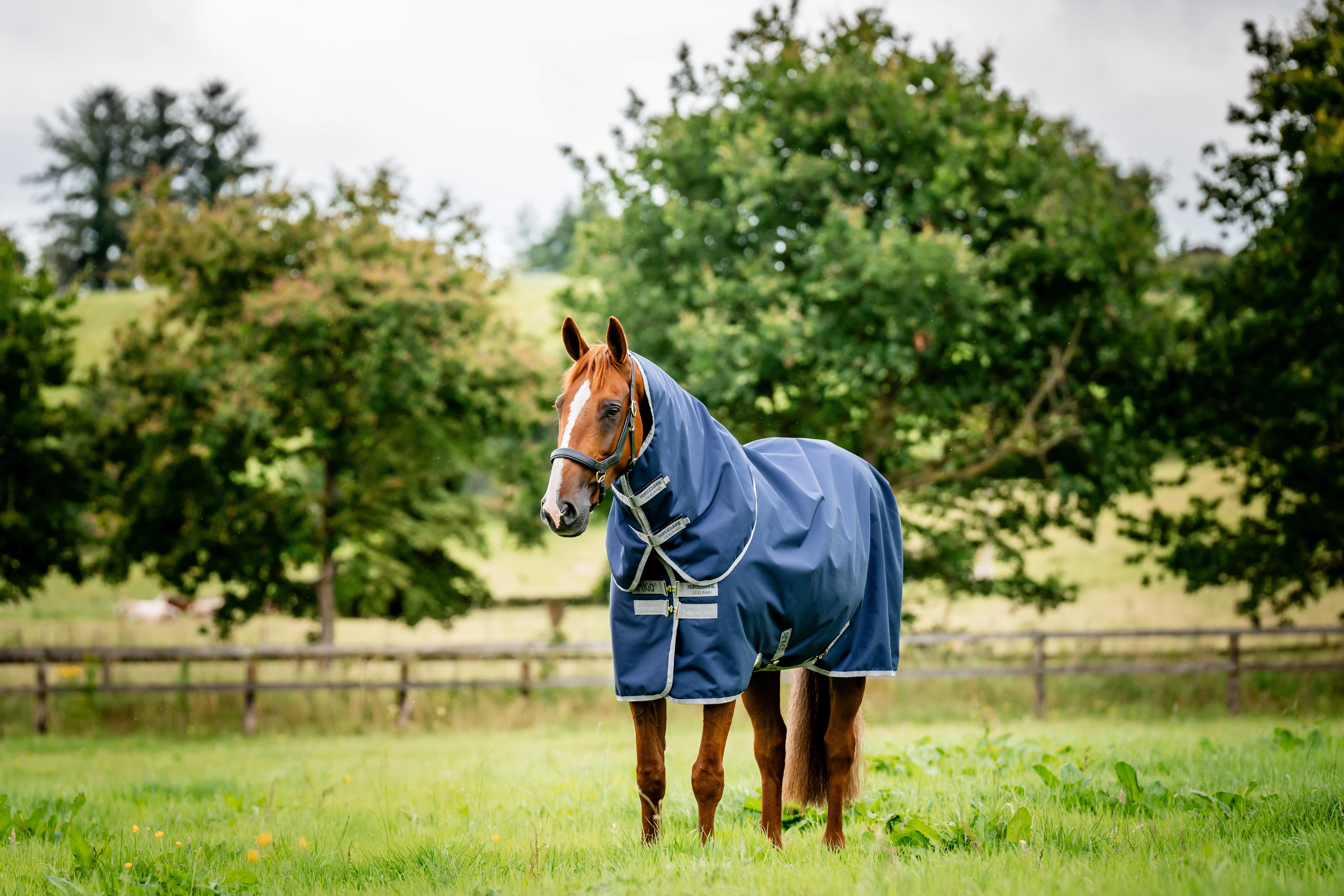 Amigo Ripstop 900D Plus Turnout 0g