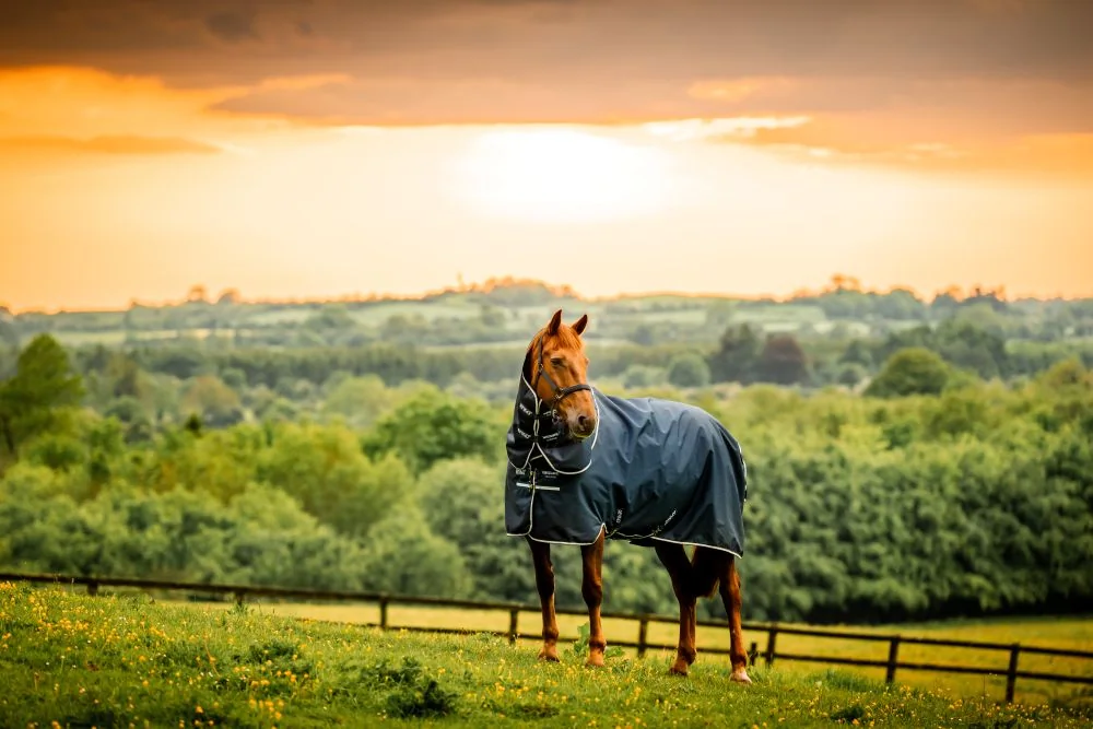 Amigo Ripstop 900D Plus Pony Turnout 200g