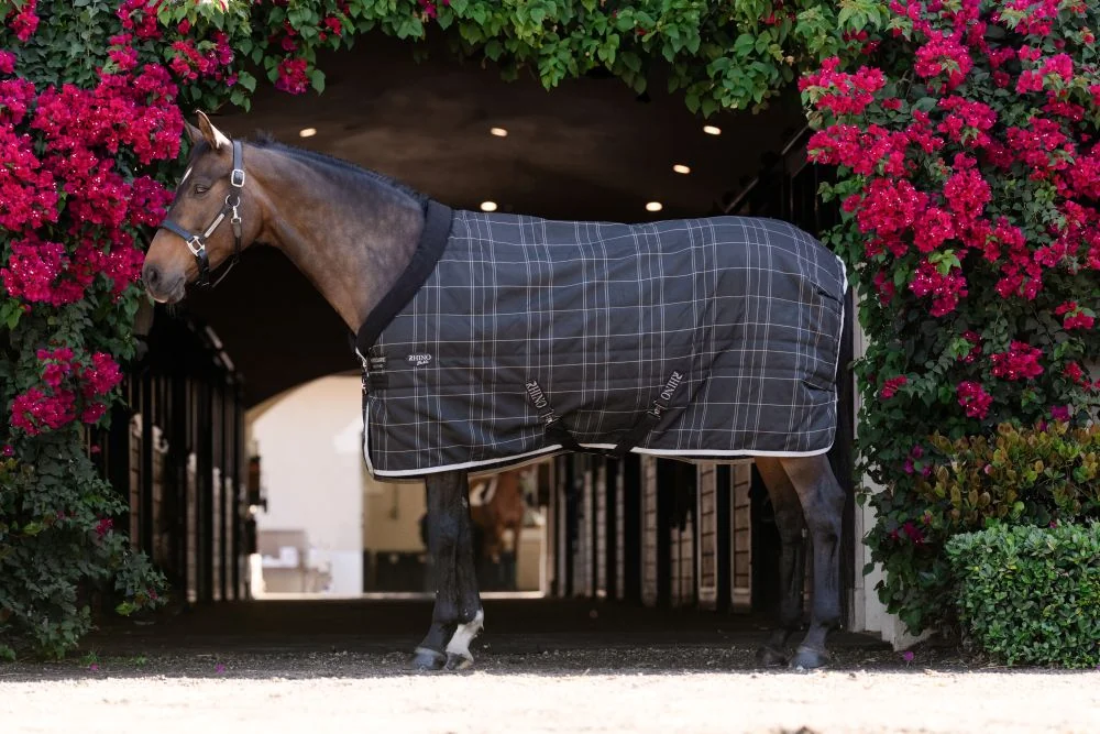 Rhino Pony Stable 100g