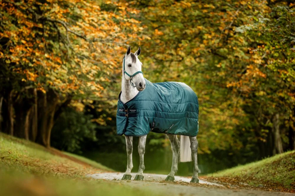 Amigo Insulator Stable Blanket Medium Weight