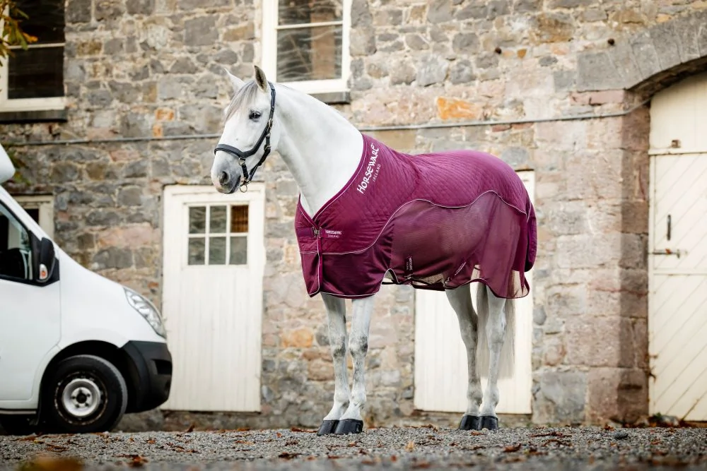 Horseware Signature Travel Cooler
