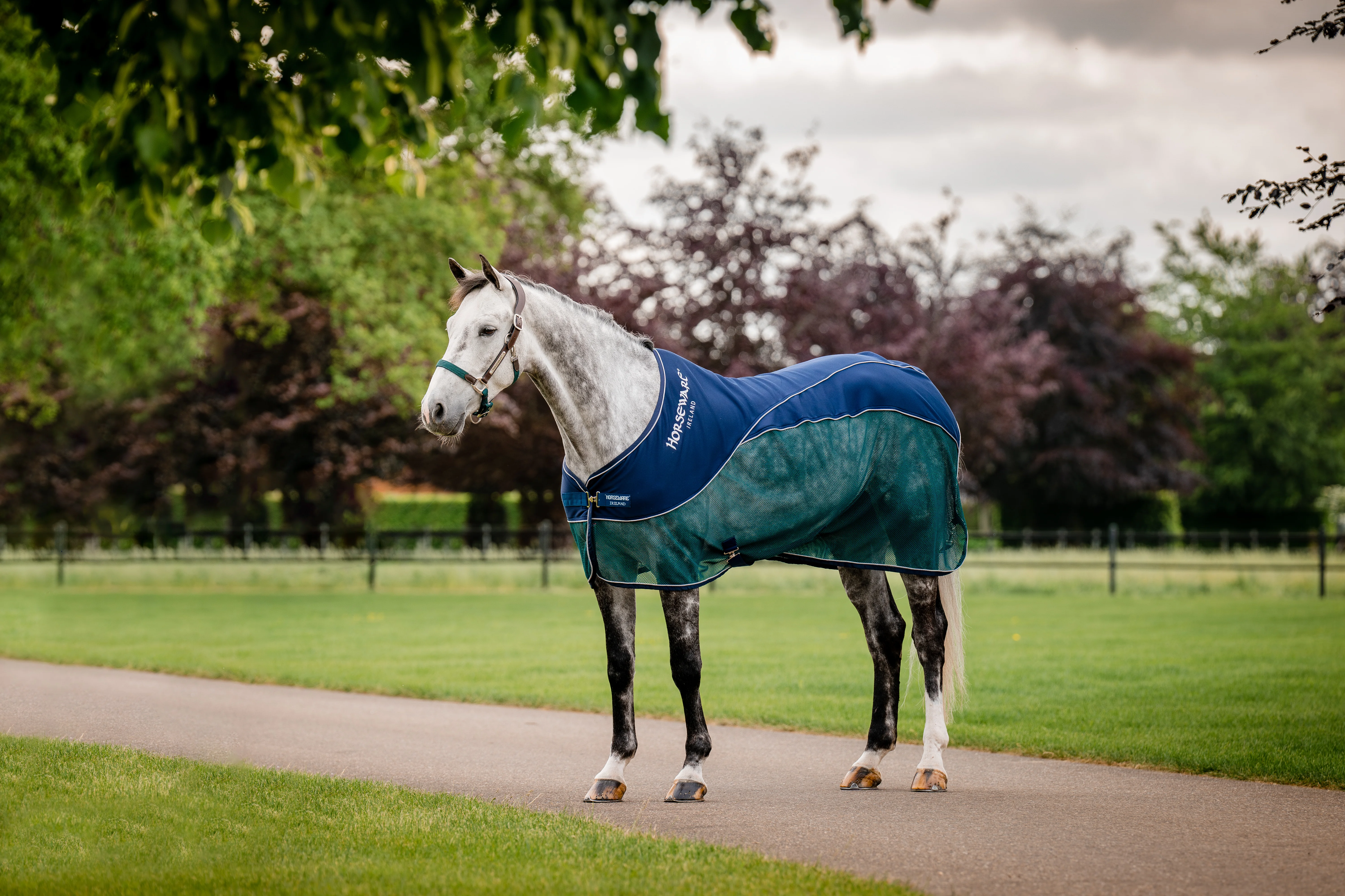 Horseware Signature Sport Cooler