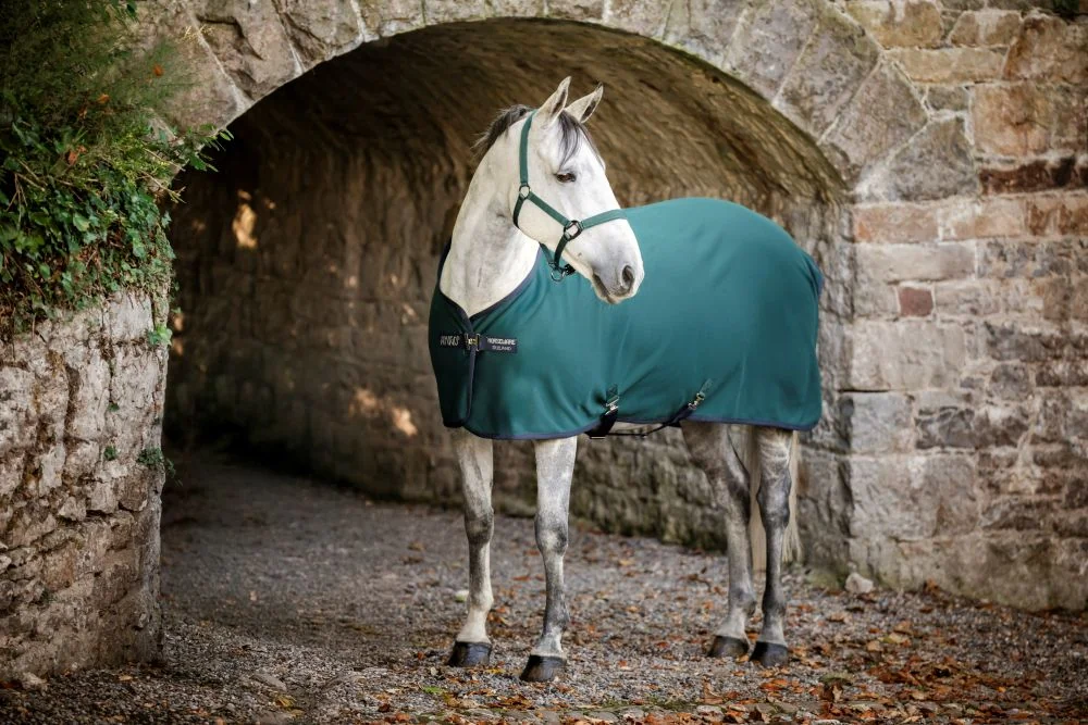 Amigo Pony Jersey Cooler