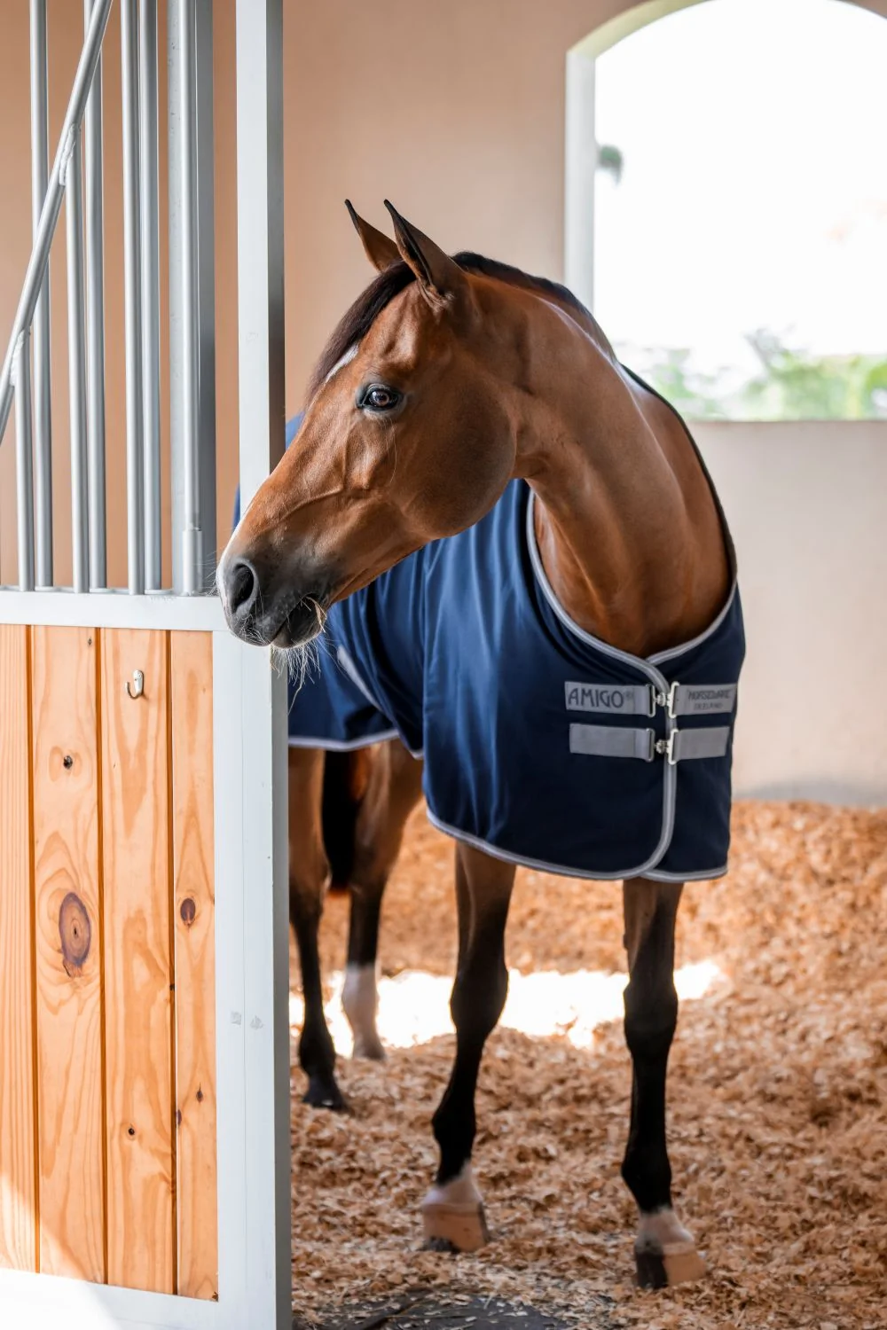 Amigo Stable Sheet