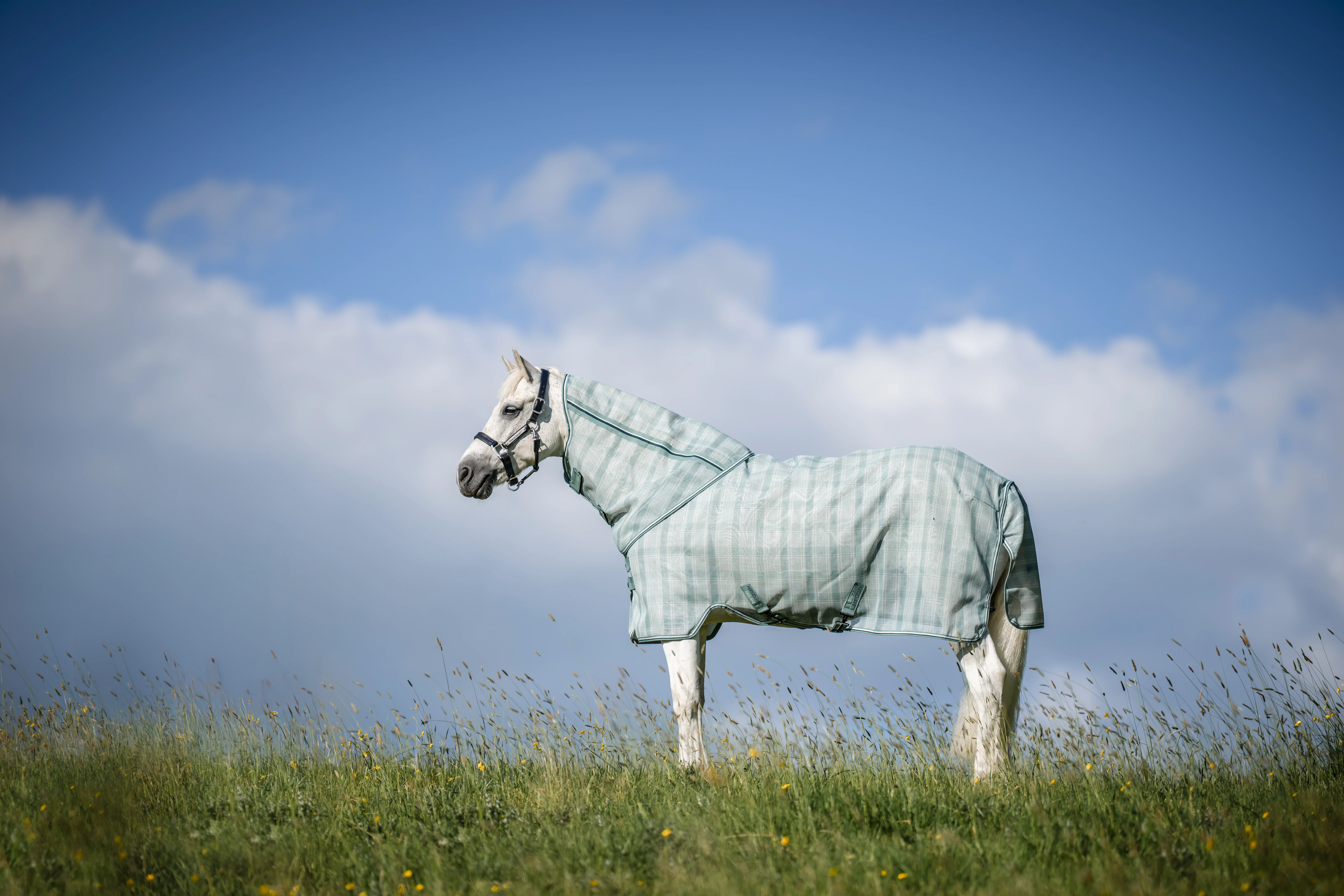 Horseware Newmarket Pony Plus Fly Sheet