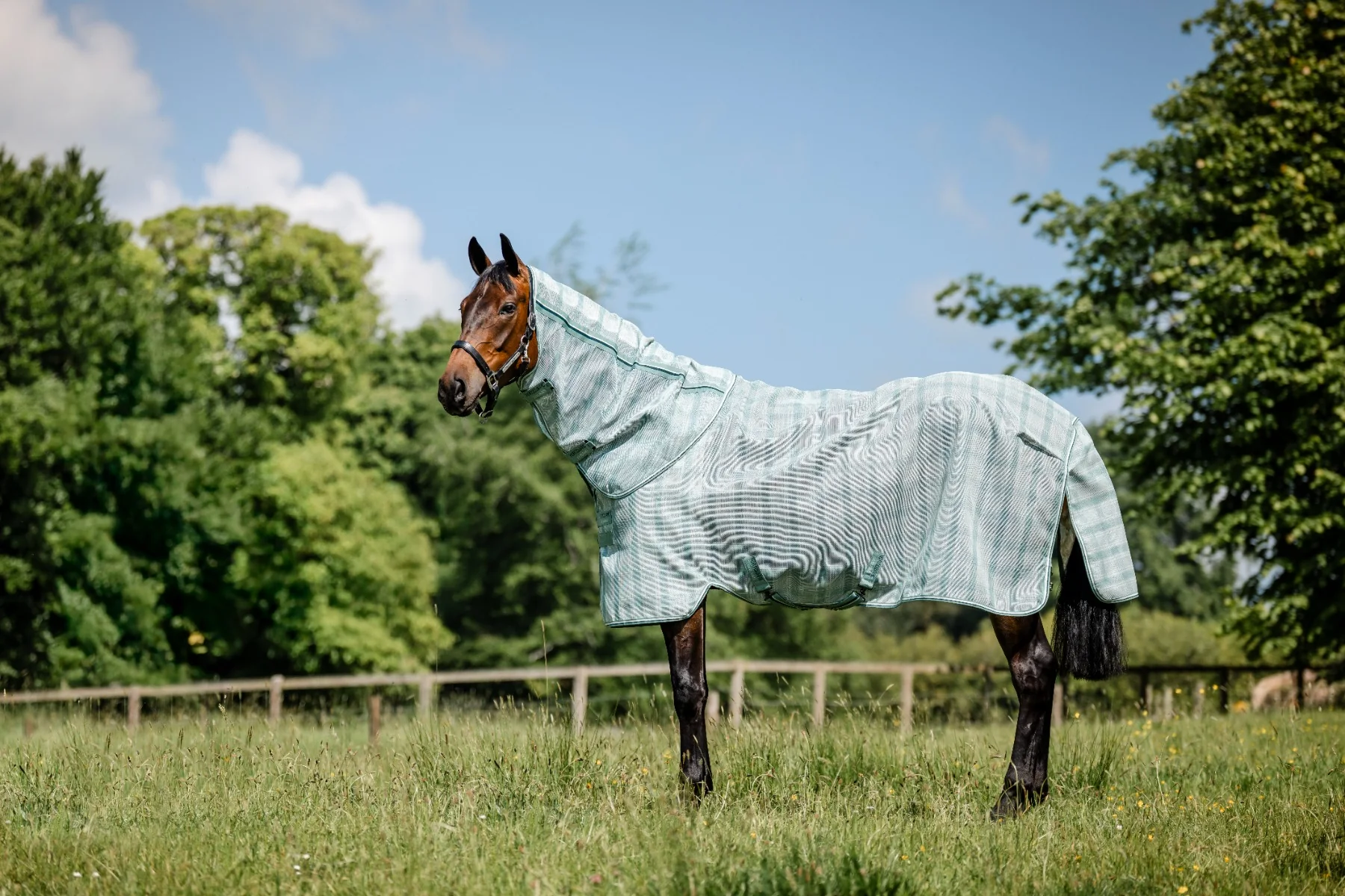 Horseware Newmarket Plus Fly Sheet