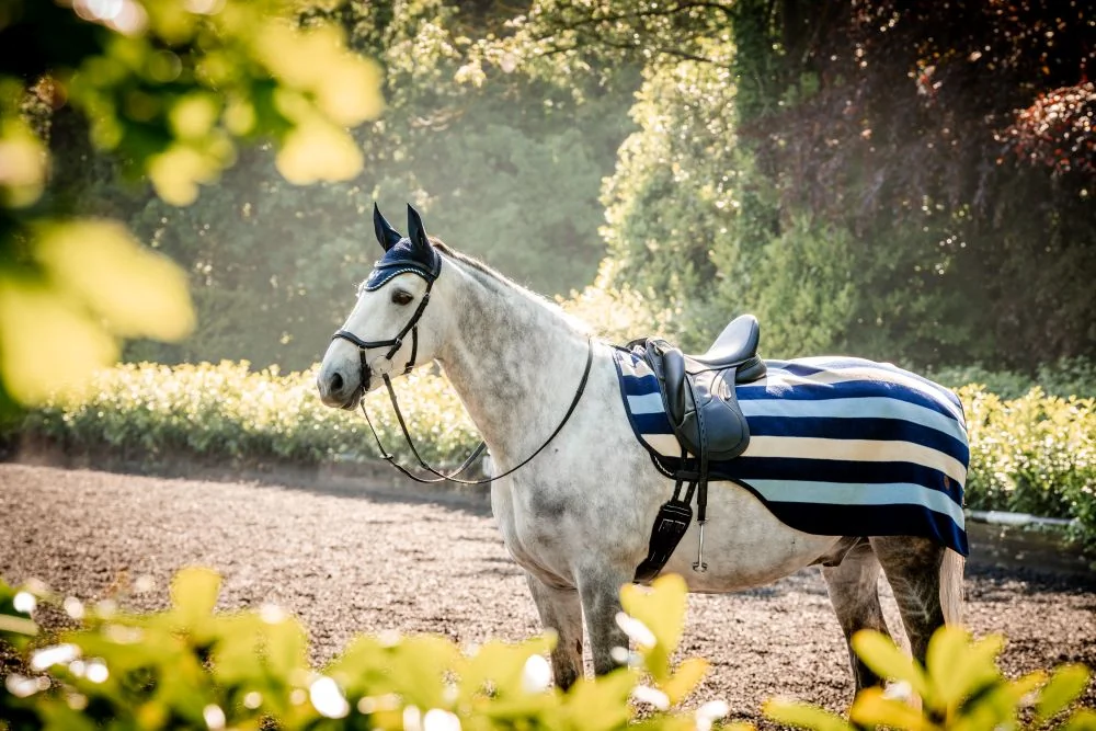 Horseware Newmarket Exercise Sheet