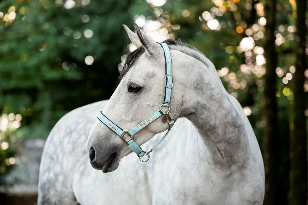 Horseware Fieldsafe Halter