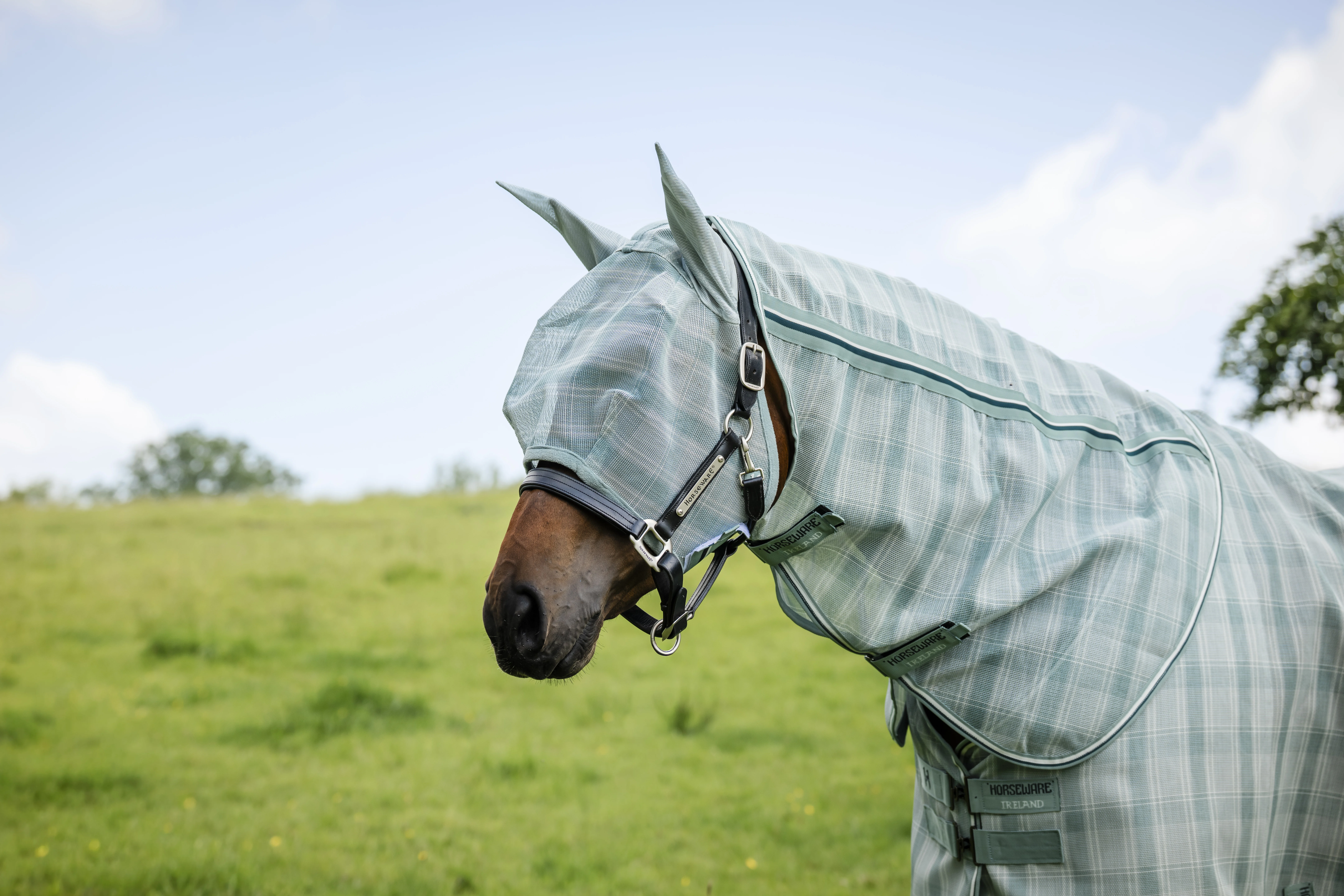 Horseware Newmarket Fly Mask