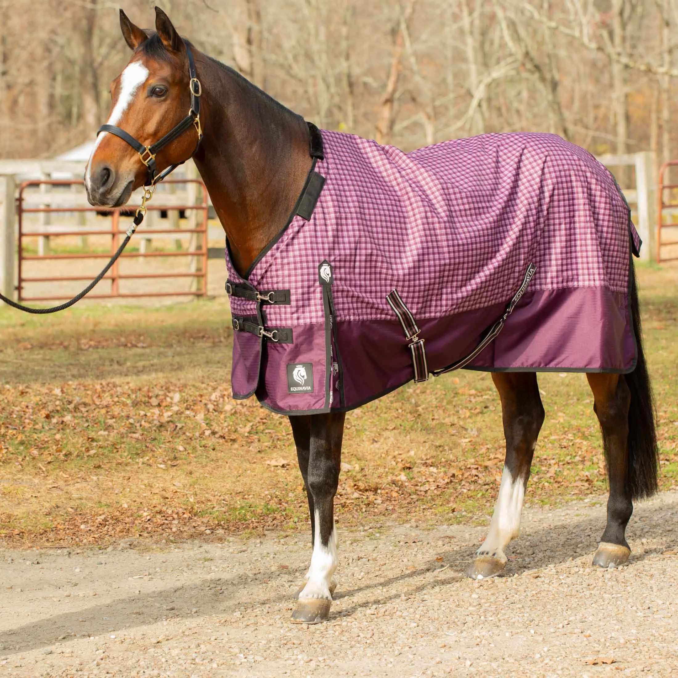 Equinavia Norse Lightweight Turnout Blanket 100g