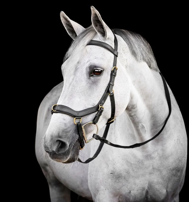 Rambo Micklem Multi Bridle
