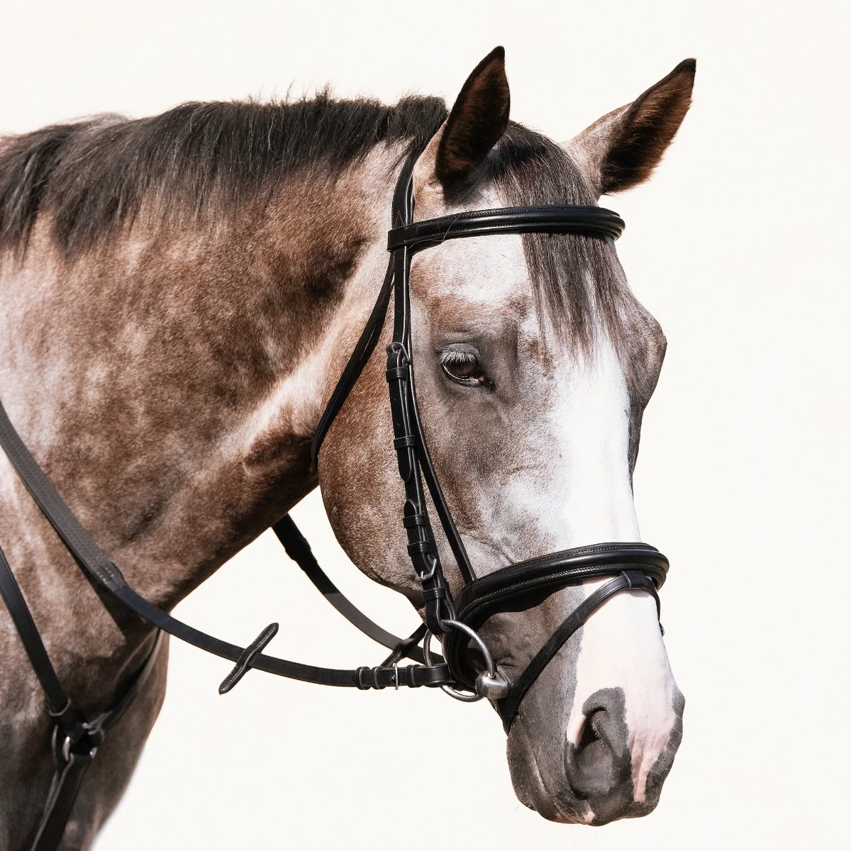 Nunn Finer Brentina Bridle