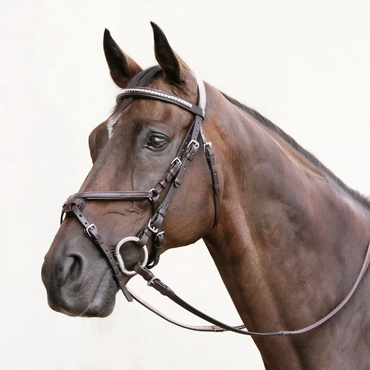 Nunn Finer Figure 8 Bridle