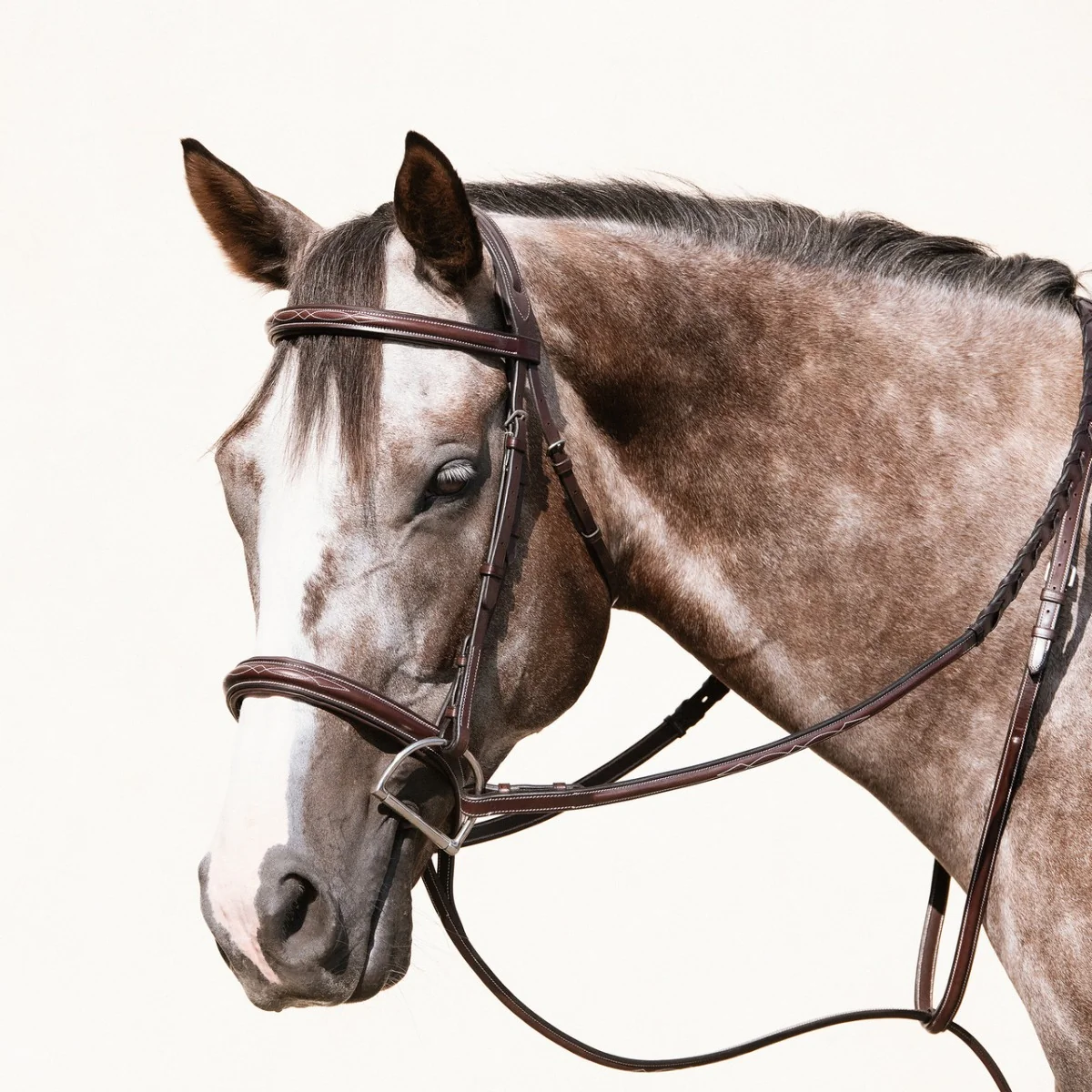 Nunn Finer Florence Bridle