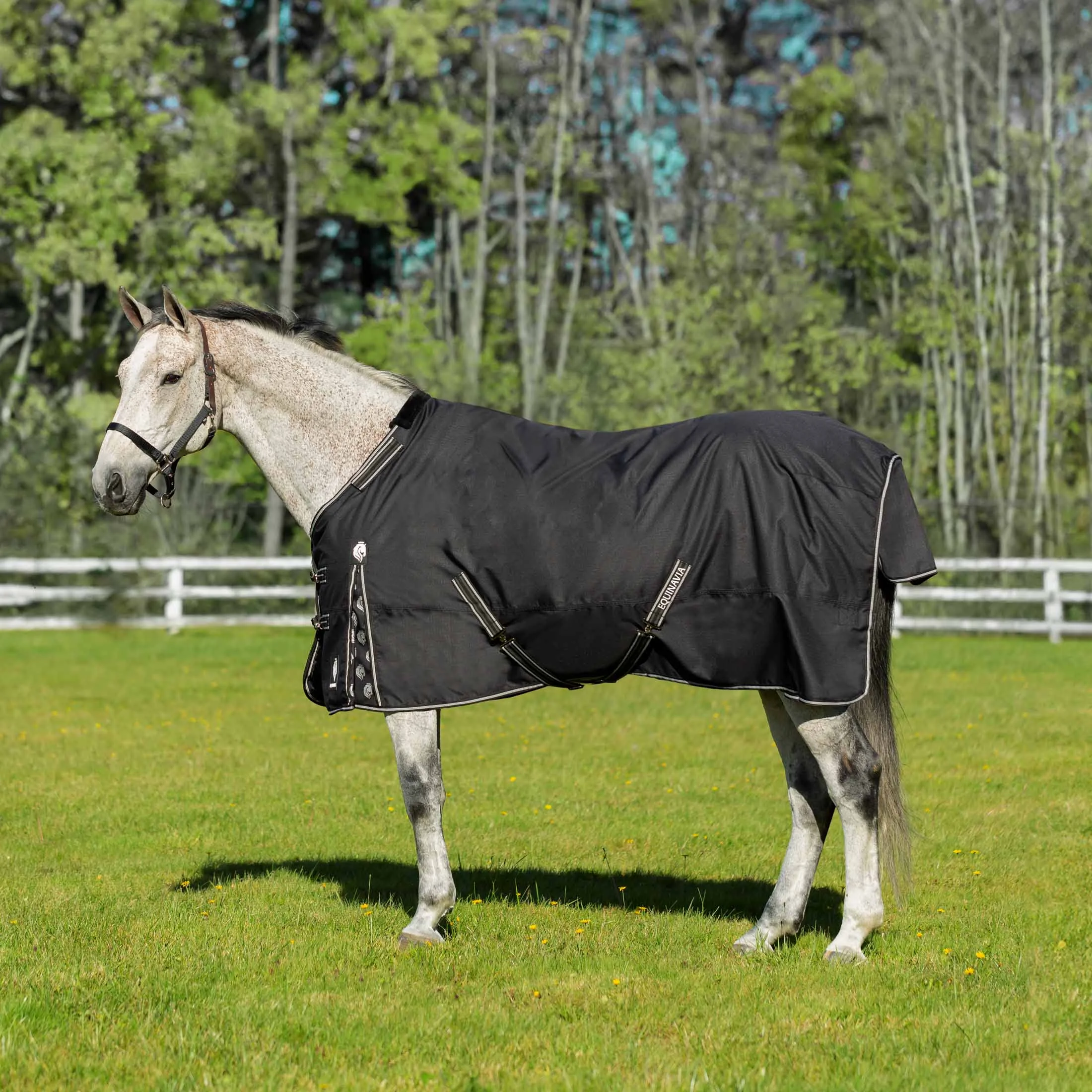 Equinavia Norse Mid-Heavy Weight Turnout Blanket 200g