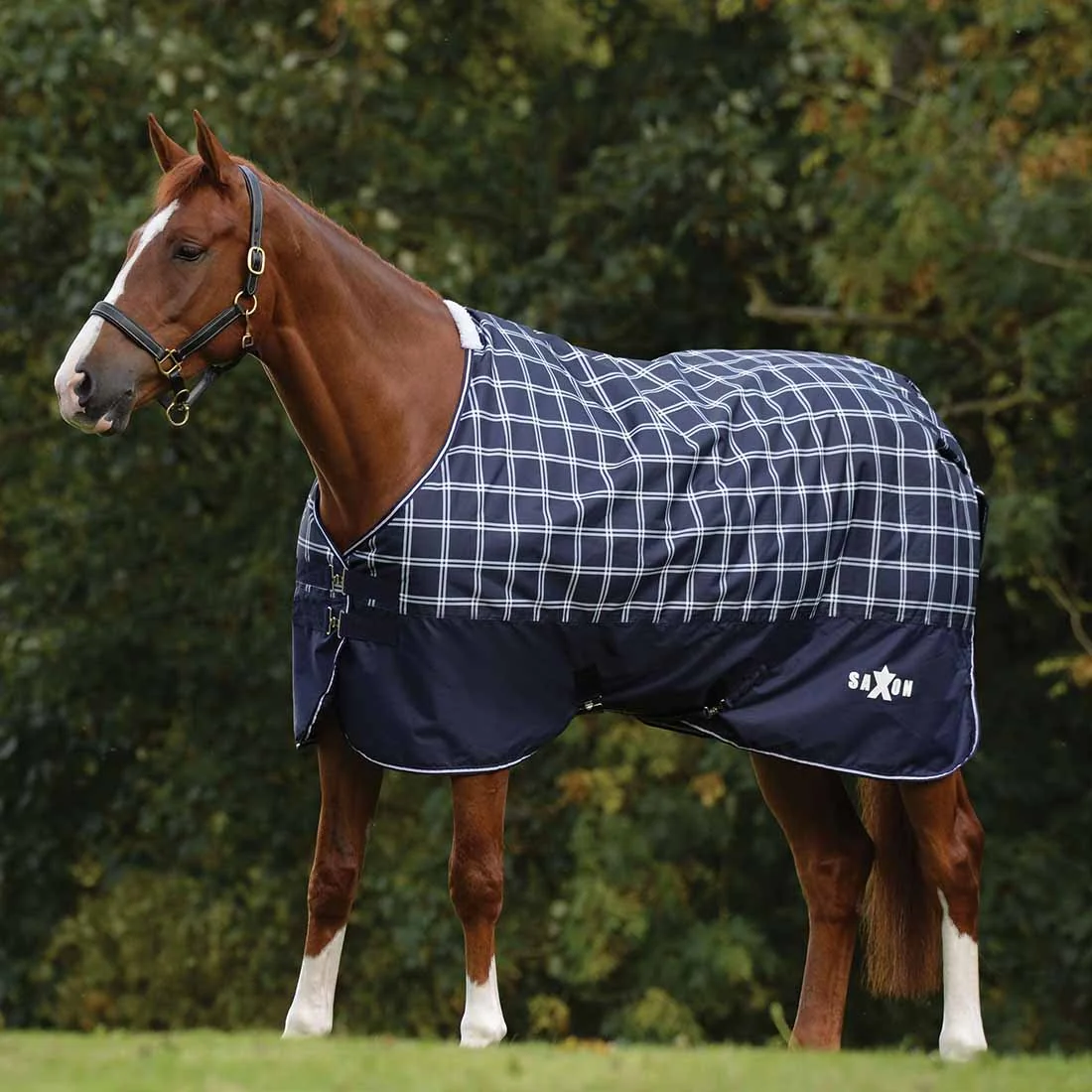 Saxon Defiant 600D Standard Neck Medium Turnout