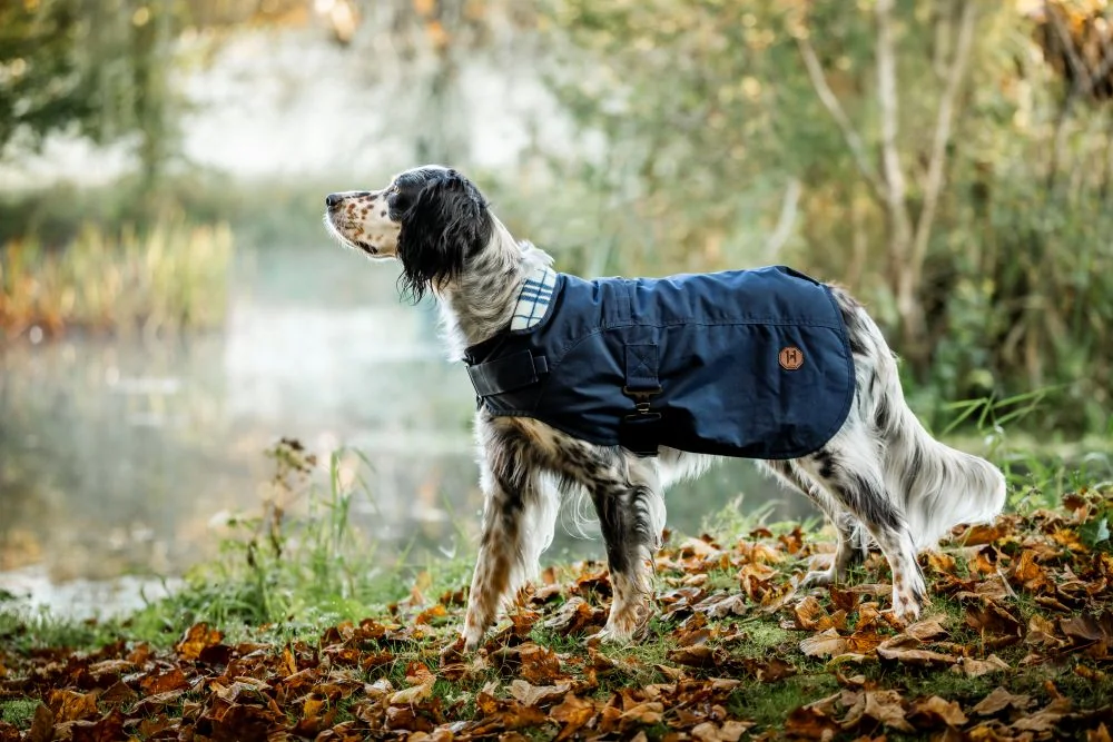 Horseware Newmarket Heritage Dog Coat