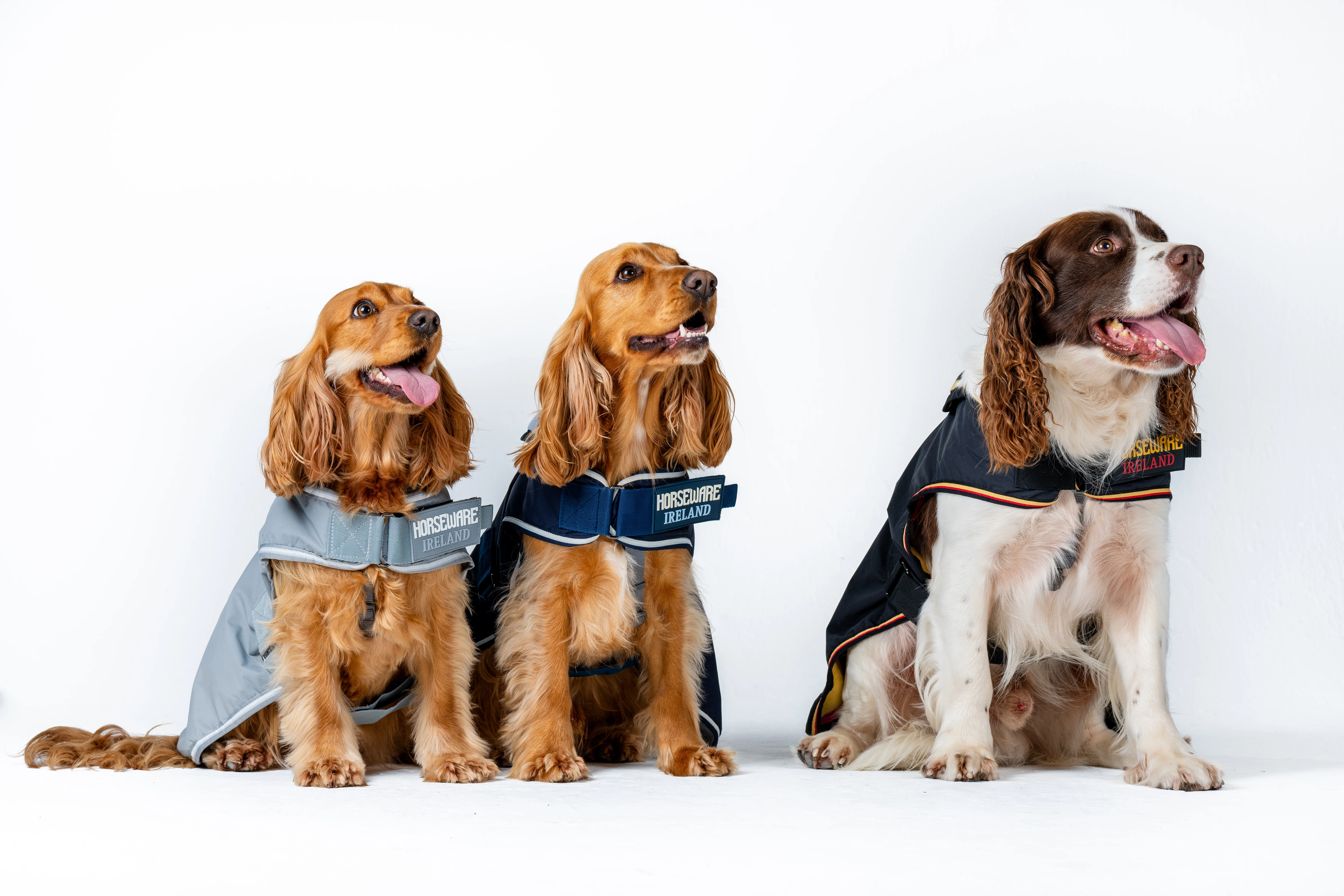 Horseware Newmarket Dog Coat