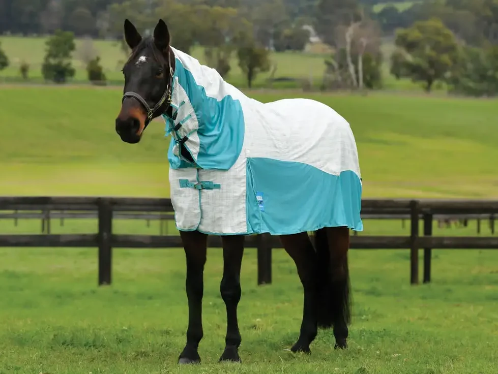Weatherbeeta Kool Coat Cotton Airstream II Detach-A-Neck