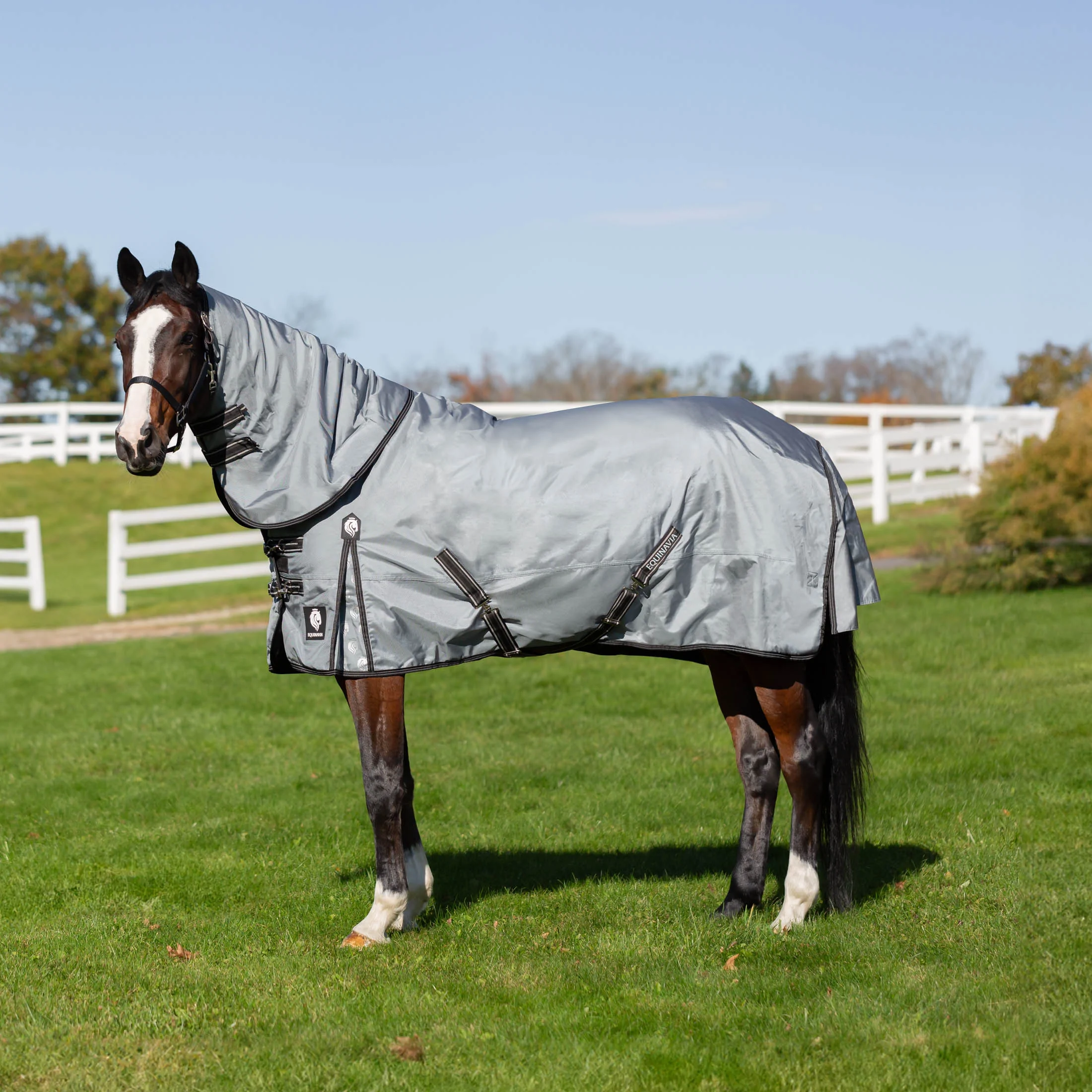 Equinavia Thunder 360 Detachable Neck Mid-Heavy Weight Turnout Blanket-200g
