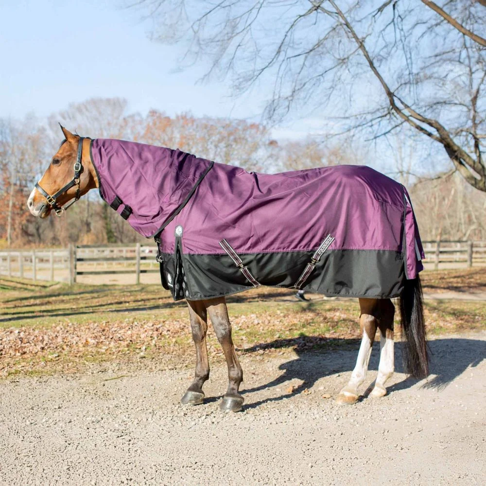 Equinavia Thunder 360 Detachable Neck Turnout Sheet 0G