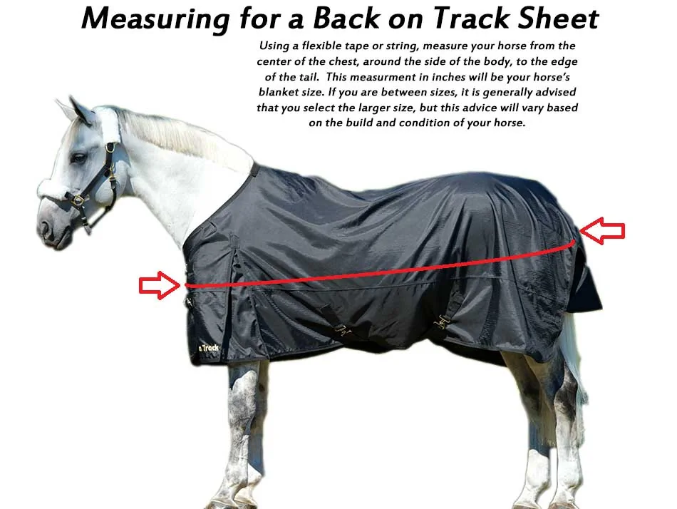 BackOnTrack-Horse-Sheet-Measuring