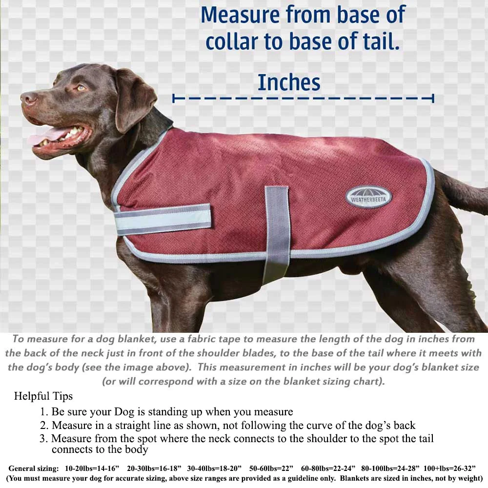 Dog-blanket-sizing_1