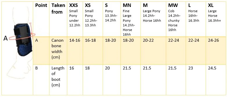 all-sport-size-chart