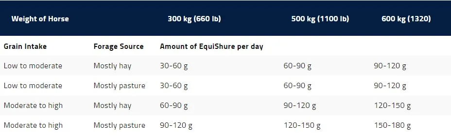 Equisure_size_chart