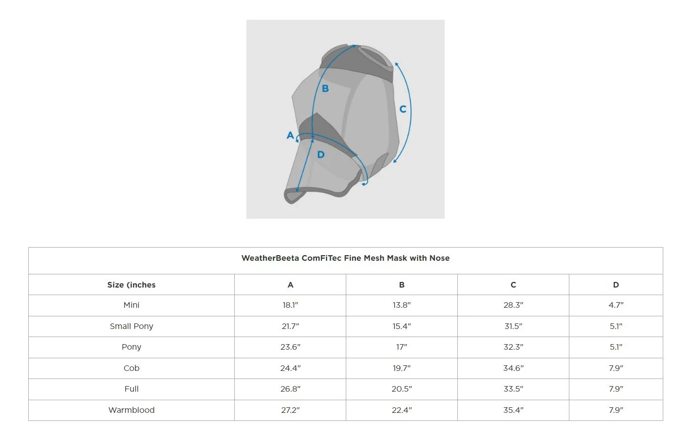 WB_fine_mesh_with_nose