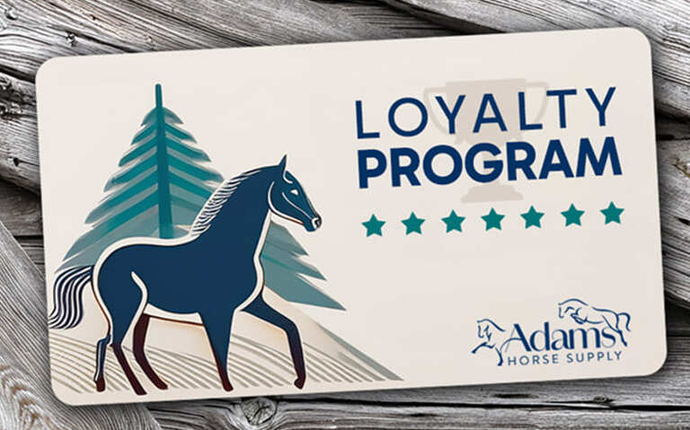 Loyalty program card