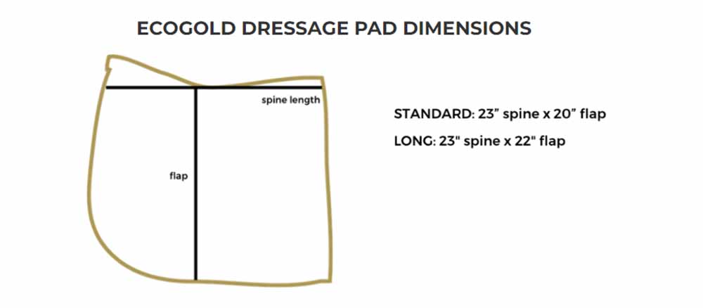 Ecogold-secure-dressage-pad