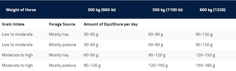 Equisure_size_chart